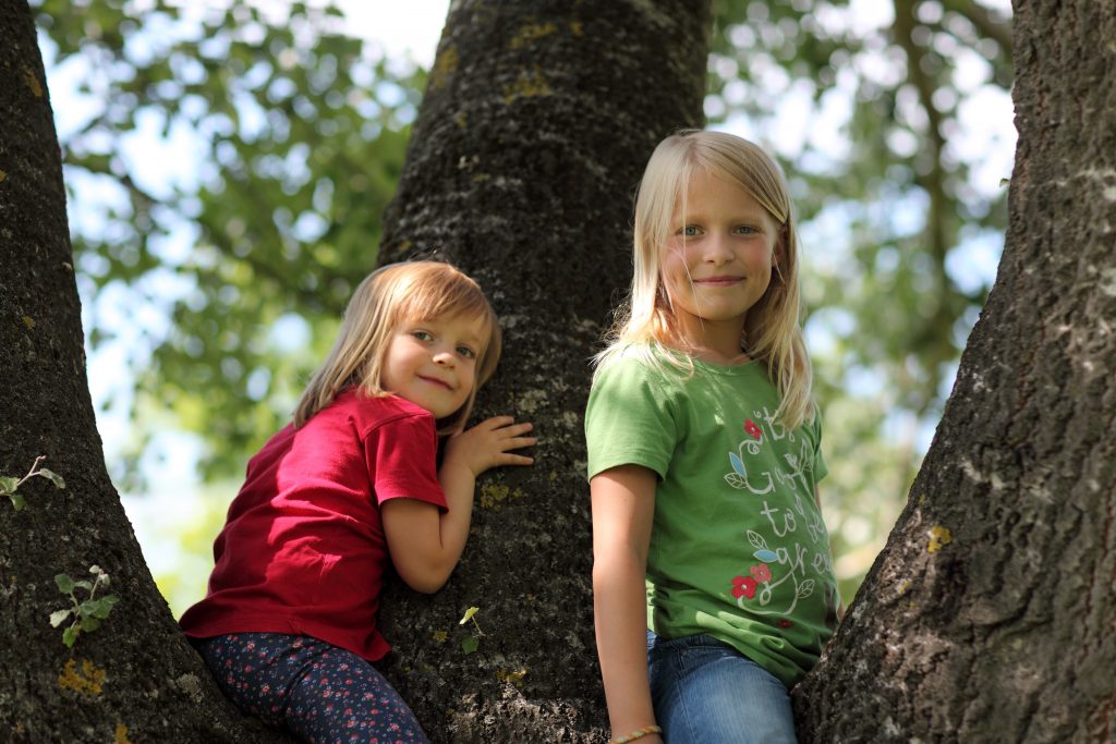 2 Kinder im Baum